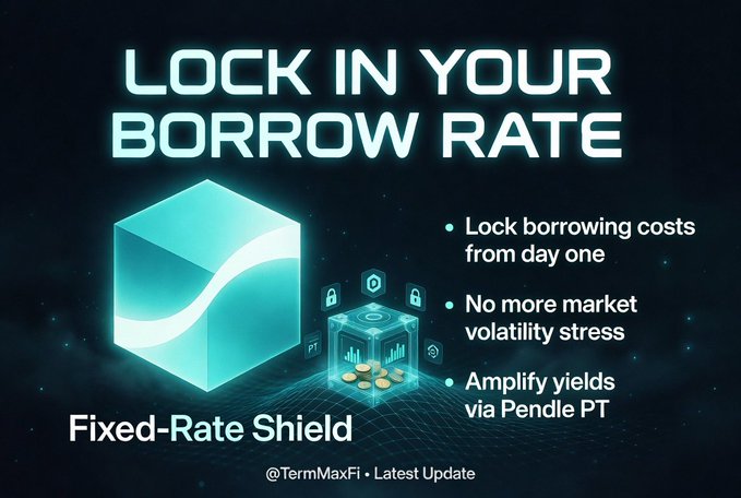 A promotional graphic for TermMaxFi's "Fixed-Rate Shield" product, featuring a glowing 3D cube alongside a smaller cube with gold coins and lock icons, with the headline "LOCK IN YOUR BORROW RATE" and bullet points highlighting benefits like locking borrowing costs from day one, eliminating market volatility stress, and amplifying yields via Pendle PT. The visuals of shields and locks directly reinforce the post's message about providing a safety net against crypto market unpredictability.