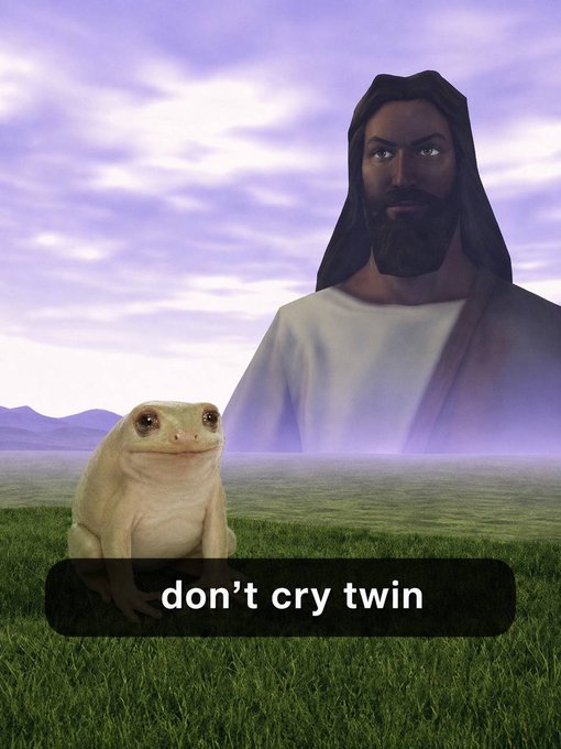A meme-style image showing a smiling lizard in the foreground with the caption 'don't cry twin,' while a figure resembling Jesus with a transparent overlay appears in the background against a purple sky.