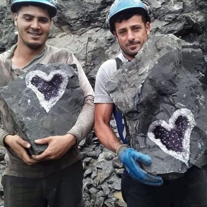 Two miners wearing hard hats proudly display large pieces of dark rock they've extracted, each featuring a distinctive heart-shaped cluster of sparkling purple amethyst crystals embedded in the gray stone.