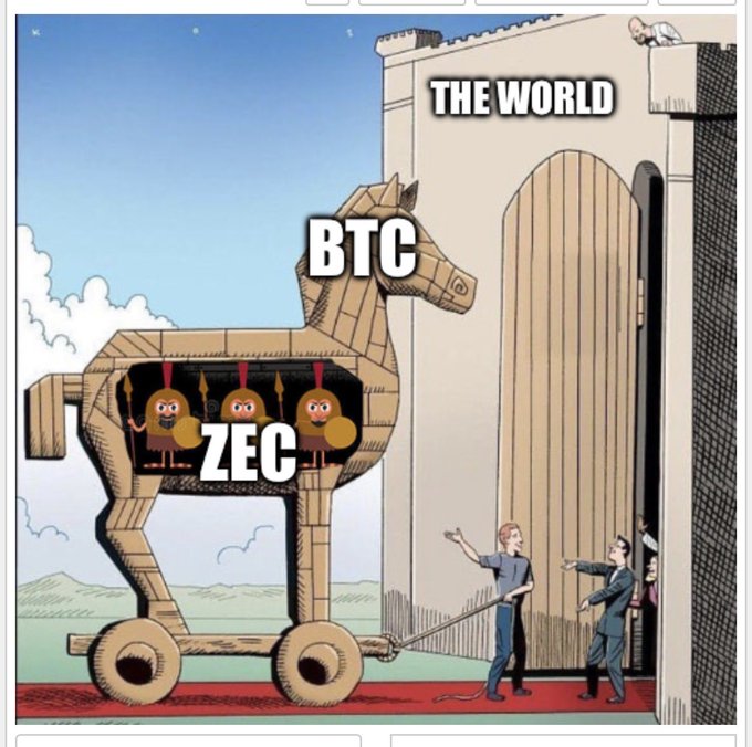 A Trojan horse meme labeled 'BTC' on the outside, but labeled 'ZEC' inside containing multiple Zcash characters with spears, being wheeled into a fortress labeled 'THE WORLD' by figures representing crypto adopters.