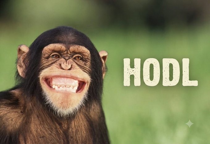A smiling chimpanzee with a wide grin stands against a blurred green background, with the word 'HODL' written in bold, textured white letters to the right.