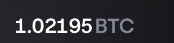The image displays a digital counter showing "1.02195 BTC" in white text against a dark gray background. It relates to the post by confirming the achievement of surpassing the 1 Bitcoin milestone, with the user having accumulated slightly over 1 BTC at the age of 20.