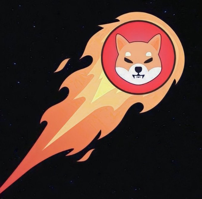 A cartoon illustration shows a Shiba Inu dog wearing a red spacesuit helmet, surrounded by orange and yellow flames resembling a comet, set against a starry black background.