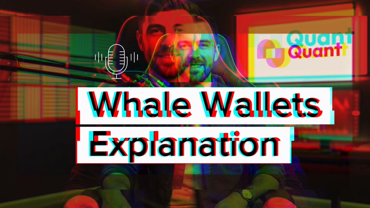A glitch-effect YouTube thumbnail featuring a bearded man in a studio with a microphone icon and a "Quant Quant" logo, overlaid with the text "Whale Wallets Explanation" to match the post about breaking down the often-overhyped meaning of large crypto holders moving funds.