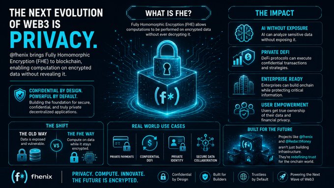 Marketing infographic for fhenix explaining Fully Homomorphic Encryption (FHE) for Web3, highlighting 'PRIVACY. COMPUTE. INNOVATE.' with use cases like private payments, confidential DeFi, and AI without exposure.