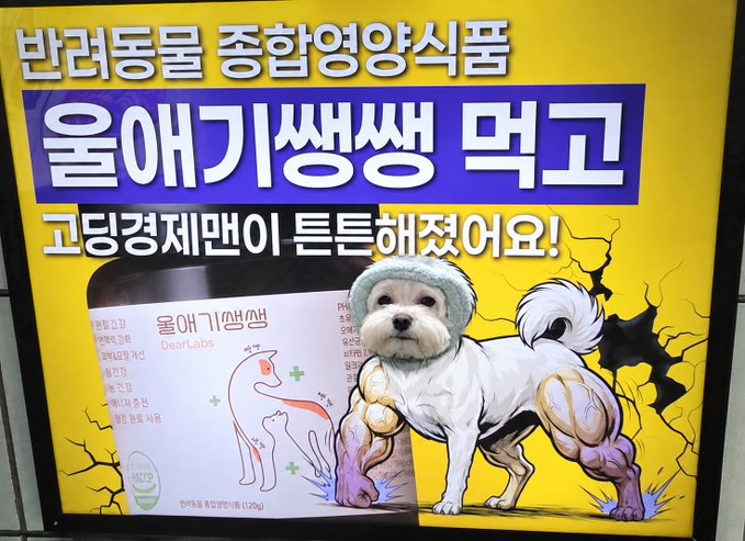Korean advertisement for BearLabs joint health supplement '올애기쓴생' featuring an illustrated white dog with visible muscle anatomy alongside a product bottle.