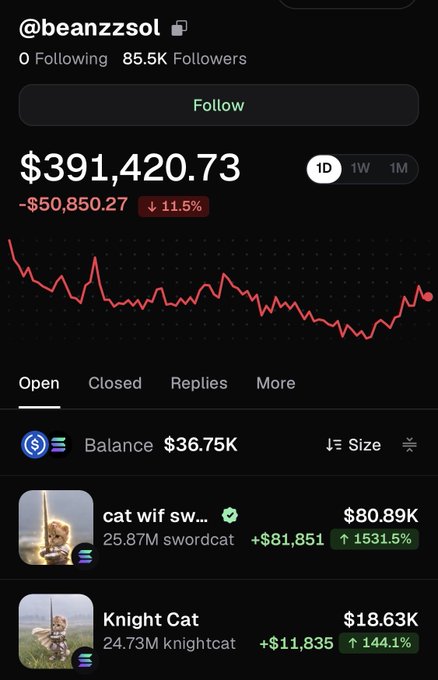 A social media profile for '@beanzzsol' shows a portfolio value of $391,420.73, down 11.5%, with holdings including 'cat wif sword' and 'Knight Cat'.