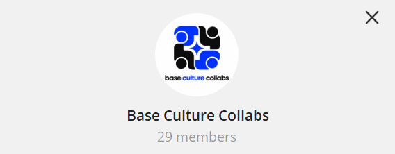 A profile page header for 'Base Culture Collabs' with a blue and black circular logo and 29 members listed.