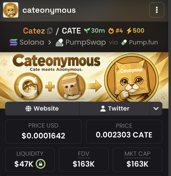 The image shows a cryptocurrency token page for "Cateonymous" (ticker: CATE), displayed on what appears to be a meme coin tracking platform, featuring cat-themed branding with the tagline "Cate meets Anonymous" and showing a price of $0.0001642, FDV/Market Cap of $163K, and liquidity of $47K. The screenshot supports the post's claim of buying $CATE, showing the newly launched Solana token (only 30 minutes old) that the poster claims to be highly bullish on for potential 100x gains.