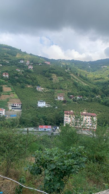 A view of a lush, green mountainside dotted with scattered houses and buildings under a cloudy, overcast sky, with trees and vegetation in the foreground.