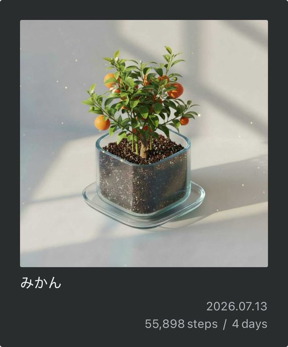 A small potted mandarin orange (みかん) tree with green leaves and orange fruits in a glass container, with text '2026.07.13 55,898 steps / 4 days'.