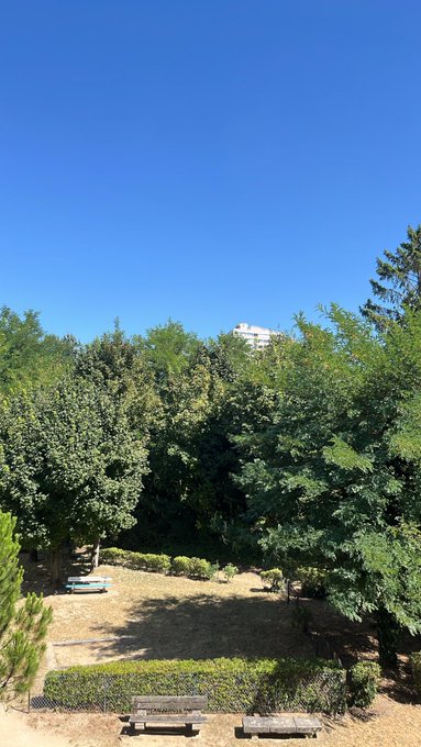 A sunny outdoor view of a park with green trees, a bench, and a blue sky, with a large white building visible in the distance over the treeline.