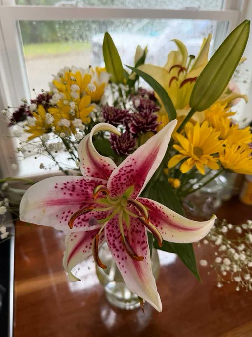A floral arrangement in a clear vase featuring a large pink and white speckled stargazer lily, yellow daisies, and baby's breath on a wooden table.