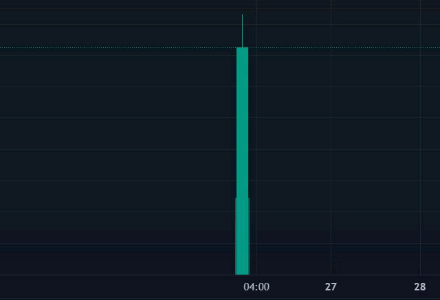A financial chart displays a single sharp vertical green/teal candlestick spike near the "04:00" mark, extending dramatically upward before being cut off at the top, with timeline labels "27" and "28" visible to the right—visually representing the kind of explosive price pump the poster is hoping to find in a memecoin to buy.