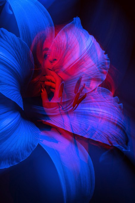 An artistic portrait of a person with their face and hands blended into blue and pink flower petals against a dark background.