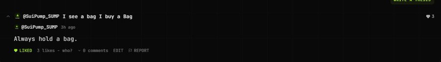 A YouTube comment from @SuiPump_$UMP reading "I see a bag I buy a Bag" with a pinned comment reply stating "Always hold a bag."