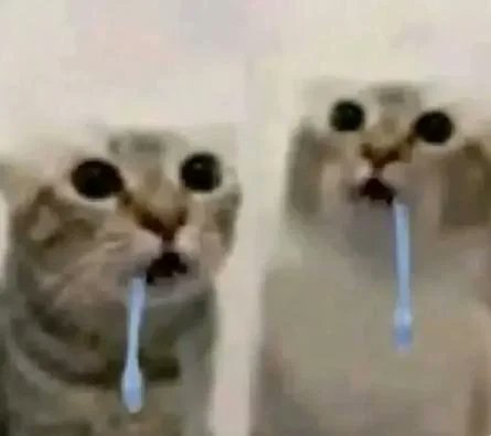 The image features two cats sitting next to each other, both holding blue toothbrushes in their mouths. The first cat has a white face with brown eyes, while the second cat has a gray face with green eyes. They appear to be engaged in play or grooming themselves, as they hold the toothbrushes in their mouths.