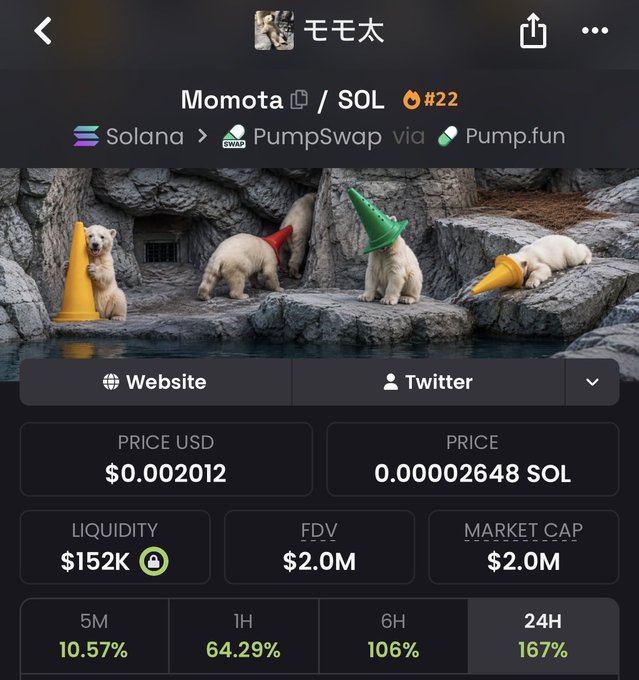 A screenshot of the "Momota" ($MOMOTA) memecoin page on Solana via PumpSwap/Pump.fun, showing a price of $0.002012 (0.00002648 SOL) with $152K liquidity and a $2.0M market cap, accompanied by an image of polar bears wearing colorful traffic cones. The bear-with-cone imagery directly ties into the post's tagline about applying pressure, using the meme as the coin's mascot.