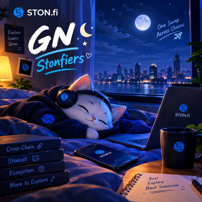 A promotional graphic for STON.fi cryptocurrency featuring an illustrated cat in headphones sleeping next to a laptop, with text reading 'GNO Stonfiers', 'One Swap. Across Chains.', and 'Explore Learn Grow'.