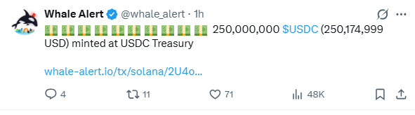 A screenshot of a tweet from @whale_alert reporting that 250,000,000 $USDC (250,174,999 USD) was freshly minted at the USDC Treasury, paired with emoji depictions of USDC bills. The image visually reinforces the accompanying post's announcement of $250 million in newly minted USDC tokens entering circulation from Circle's treasury.