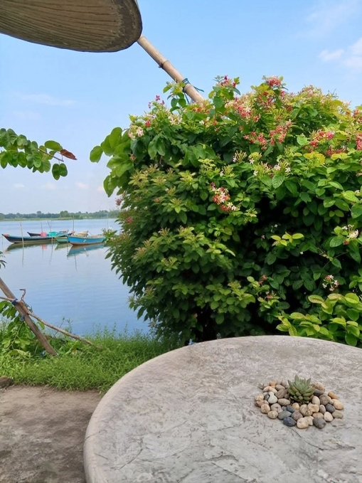 The image features a round concrete table with a small plant sitting on top of it. In the background, there are two boats floating on the water near some bushes. The caption above the image reads "gm good morning matter how many obstacles come my way, I won'T move away from my goals, @NomismaNetwork The bigger the goal, the stronger the reason to keep moving forward." This message is related to the main subject of the image because it emphasizes the importance of staying focused on one's goals and not being deterred by obstacles.