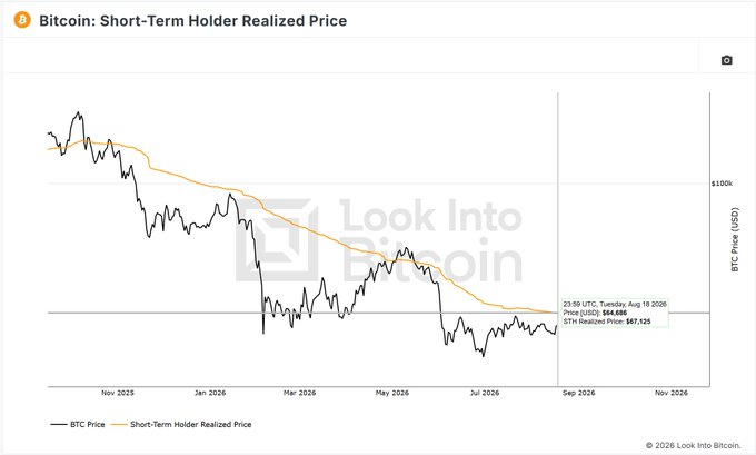 The chart "Bitcoin: Short-Term Holder Realized Price" from Look Into Bitcoin shows BTC price at $64,686 sitting exactly at the STH Realized Price of $67,125 as of Tuesday, August 19, 2026, illustrating the post's point that Bitcoin is currently trading at the short-term holder realized price level around $67,000.