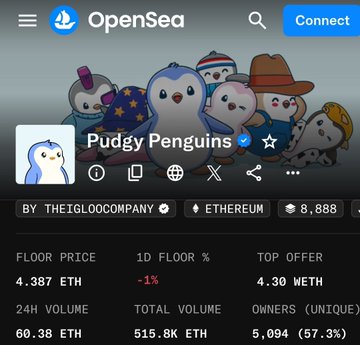 The image features an OpenSea trading platform with a group of penguins depicted on its homepage, accompanied by a "pudgy penguins" description. There's also an email address provided for users to communicate with the trading company, which is TheGlooCompany. Additionally, there are price data displayed in the form of two columns and tables containing the values of 1.5 florida and 4.3 ether options.