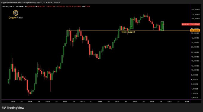 A TradingView monthly candlestick chart for BTC/USDT from CryptoPatel, with Bitcoin currently trading around $79,000, showing a 'Strong Support' line near the $72,000-$77,000 range.
