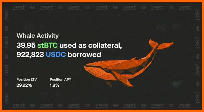 A 'Whale Activity' graphic from Zest showing 39.95 stBTC used as collateral and 922,823 USDC borrowed, with a Position LTV of 29.92% and Position APY of 1.8%, featuring a geometric orange whale illustration.