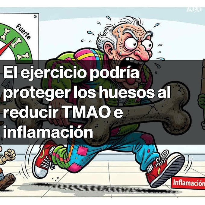 A cartoon elderly man runs while carrying a large bone, with Spanish text reading 'El ejercicio podría proteger los huesos al reducir TMAO e inflamación' overlaid on the image.