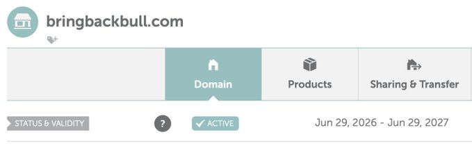 A domain status page for bringbackbull.com showing it as 'ACTIVE' from Jun 29, 2026 - Jun 29, 2027 with navigation tabs for Domain, Products, and Sharing & Transfer.
