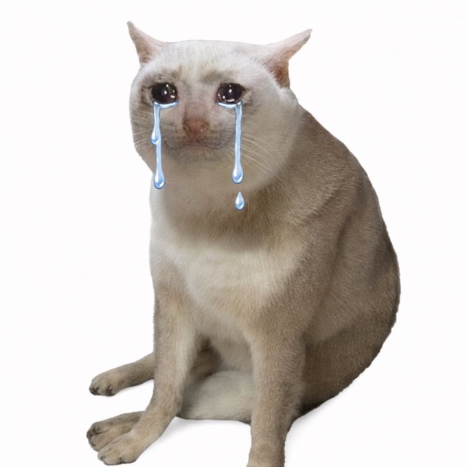 A cream-colored cat with digitally added cartoon tears streaming down its face, symbolizing the loss and sadness felt by investors over the Noxa incident involving the shutdown of its launchpad and the subsequent plummet of associated coins.
