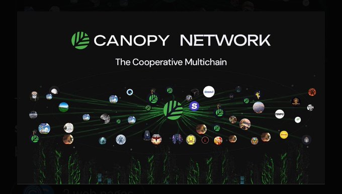 Slide titled "CANOPY NETWORK: The Cooperative Multichain" displaying a network diagram connecting various user avatars and project logos to a central green hub.