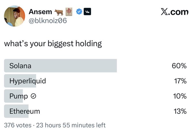 A Twitter poll by @blknknoiz06 asking "what's your biggest holding" shows Solana leading with 60%, followed by Hyperliquid (17%), Ethereum (13%), and Pump (10%) among 376 votes. The poster's note suggests Pump's actual significance is being underestimated compared to its modest poll ranking.