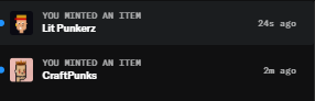 The image shows a close-up of an item description on a webpage, possibly providing details about items that have been minted or purchased. The description includes text stating "you minted an item" and "lit punnerz". Additionally, there are two other descriptions further down in the page, both of which appear to be related to craft punkz items, likely a type of digital art form.