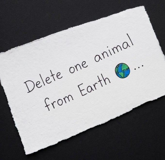 None
