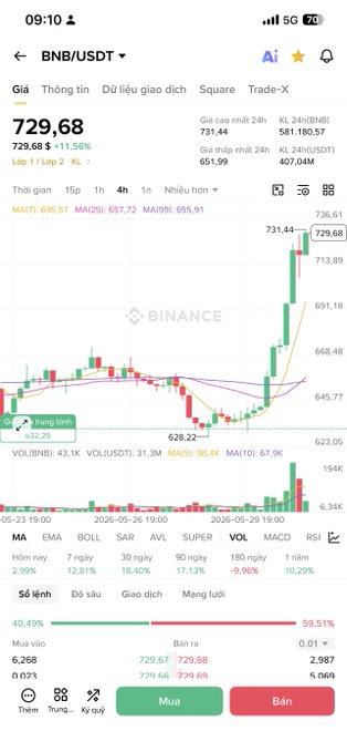 A screenshot of a mobile device screen showing an overlay of the binance coin graph with some text on top about trading positions and gaining wealth from investing in coins.