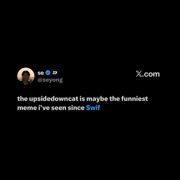 A tweet from user @seyong on X.com reads: "the upsidedowncat is maybe the funniest meme i've seen since $wif." The image shows this social media post supporting the context of Fomo founder Seyong praising the $USDC (UpsideDownCat) meme alongside his earlier endorsement of $WIF (dogwifhat).