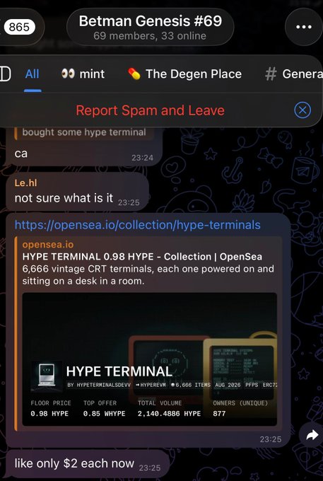A Telegram group chat screenshot titled 'Betman Genesis #69' shows a user sharing an OpenSea link for 'HYPE TERMINAL 0.98 HYPE - Collection', with floor price listed as 0.98 HYPE and total volume of 2,140.4886 HYPE.