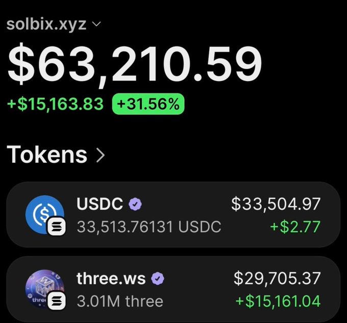 The image shows a screen displaying data about virtual tokens. The top left corner of the screen indicates the value of $63,200.59 with a green bar showing that this amount has increased by 31.56%. Below the main information is a list of tokens and their corresponding values displayed in dollars. The most significant token on the list is Usdc with a value of $3,151.73. Another notable token is Punks with a value of $2.94M. There are also other tokens displayed on the screen such as Whitewhale at $1.4 million and Punch at $100k, which have reached 100M dollars each.