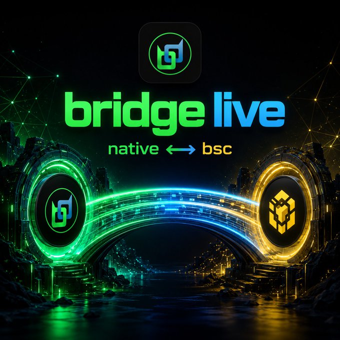 A promotional graphic for "bridge live" showing a glowing green-to-gold bridge connecting two cryptocurrency tokens with the text "native ↔ bsc".