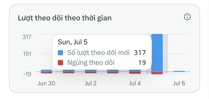 A bar chart in Vietnamese titled 'Lượt theo dõi theo thời gian' (Follows over time), showing a peak on Sun, Jul 5 with 317 new follows and 19 unfollows.