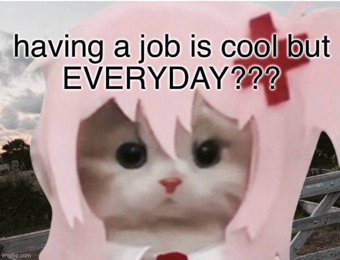 A pink-haired anime cat with a concerned expression, with the text 'having a job is cool but EVERYDAY???'