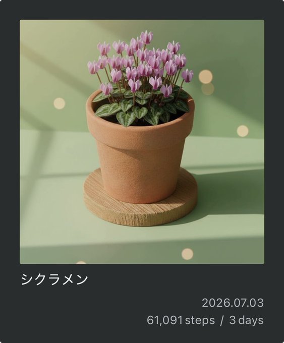 A photo of a potted cyclamen plant with pink flowers on a green background, labeled シクラメン (Cyclamen) and dated 2026.07.03 with 61,091 steps over 3 days.