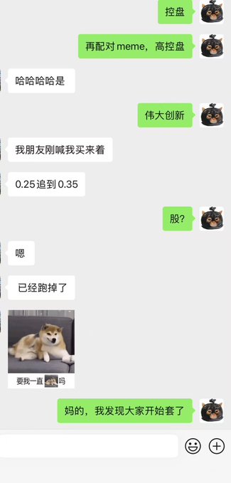 A Chinese-language chat conversation featuring messages about stock trading (referencing 'meme' stocks with prices going from '0.25 to 0.35'), missing stocks, a Shiba Inu dog meme captioned '要我一直上吗', and humorous commentary about market participants coming together.