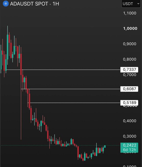 A cryptocurrency candlestick chart for ADAUSDT on a 1-hour timeframe, showing a sharp price decline from around 1.0000 USDT down to approximately 0.2422 USDT over 6 days and 12 hours, with key support levels marked at 0.7337, 0.6087, and 0.5189.