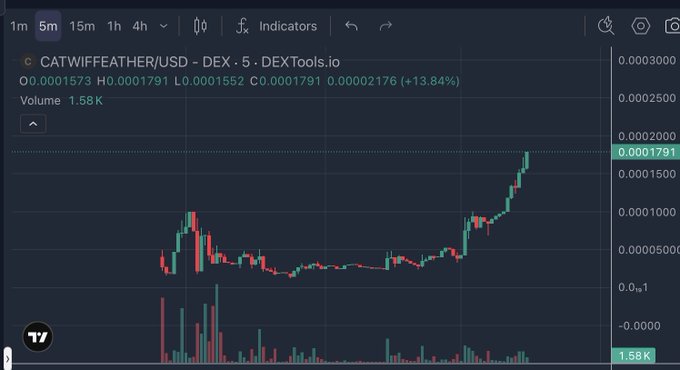 A TradingView chart shows CATWIFFWEATHER/USD on DEXTools with a 5-minute timeframe, displaying a recent price spike to 0.0001791 USD (+13.84%) and a 24-hour volume of 1.58K, accompanying a post from user @catwiffeather referencing wallet address 0x9411673acad2Ff68810713cbc04E029c8d636FE6.