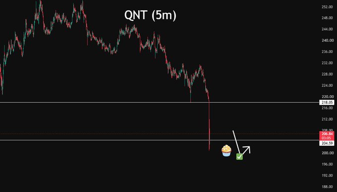 A 5-minute candlestick chart for the ticker QNT showing a sharp price decline, with current price at 204.59 and annotations indicating a level around 216.
