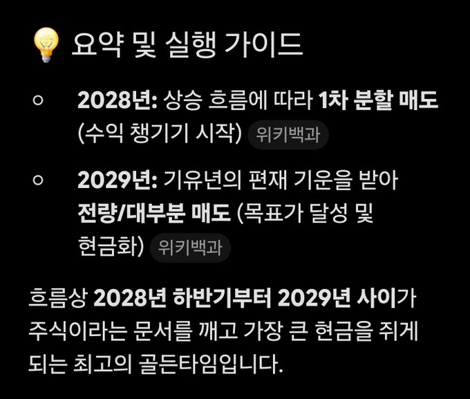 Korean text titled '요약 및 실행 가이드' outlining a summary and execution guide with bullet points about 2028 and 2029 timelines and currency mentions.
