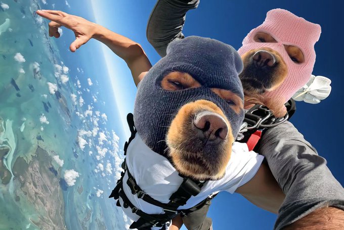 A surreal photo showing two dogs wearing knit balaclava masks (one blue, one pink) strapped to a person skydiving high above Earth and the clouds.